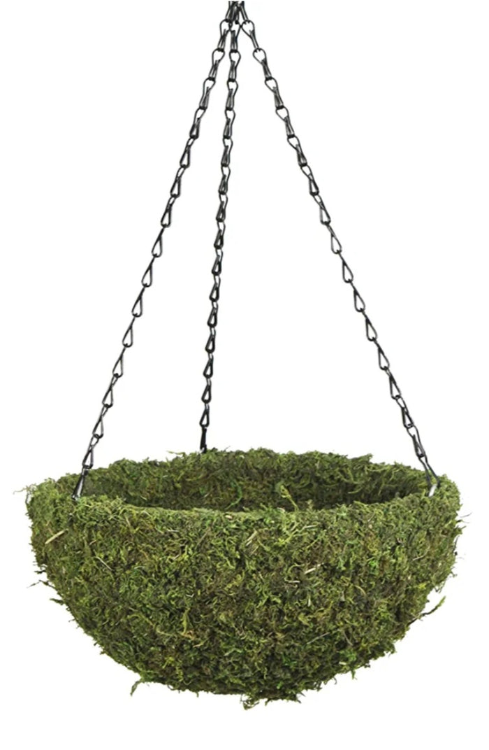 14" Green Moss Hanging Basket