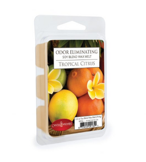 2.5oz Odor Eliminating Tropical Citrus Wax Melts