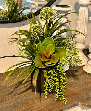 DIY Everyday Succulent Arrangement