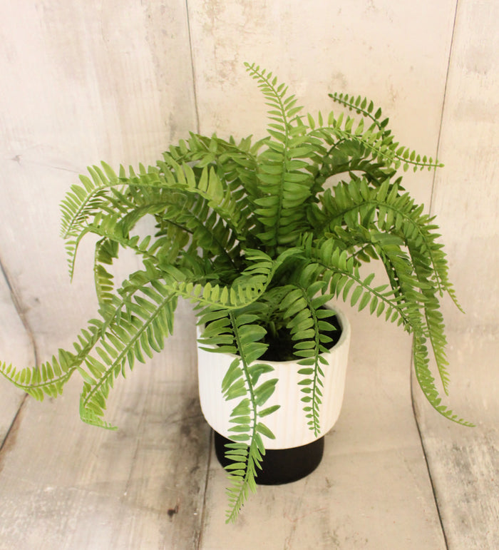 17.5" Lifelike Fern