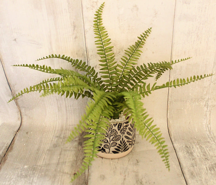 15" Lifelike Fern