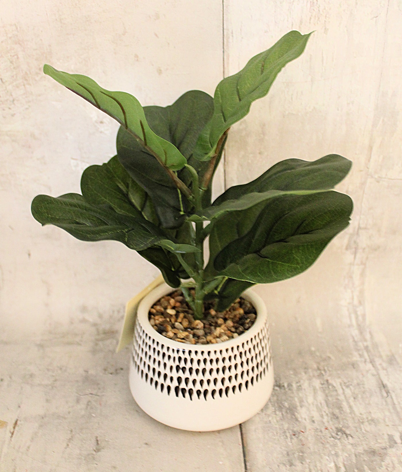 fiddle leaf fig in planter 12" Lifelike Fiddleleaf Fig Planter – Ellis Home & Garden