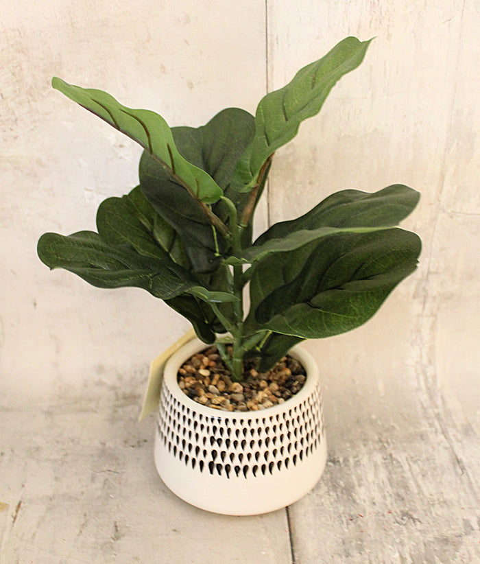 planter for fiddle leaf fig plant 12" Lifelike Fiddleleaf Fig Planter – Ellis Home & Garden
