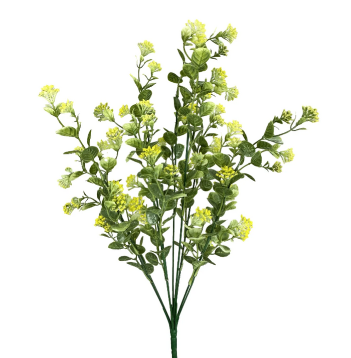 22" Yellow Sedum Filler Bush