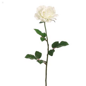 27" Large Cream Rose Stem