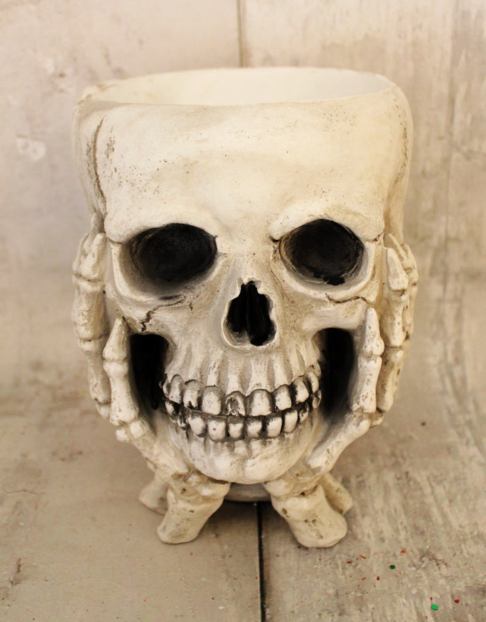 Skull Candy Holder