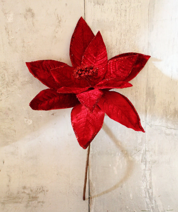 13" Red Velvet Poinsettia Pick