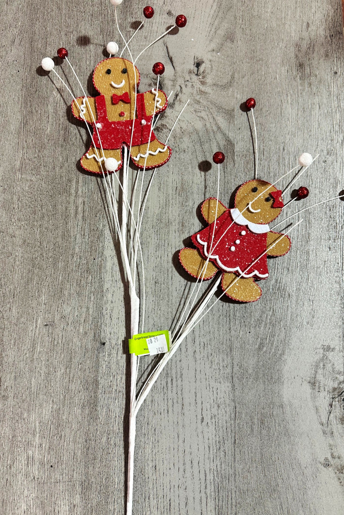 26" Gingerbread Spray