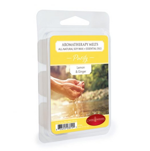 2.5oz Purify Aromatherapy Wax Melts