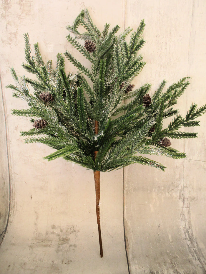 19" Flocked Norfolk Pine Bush