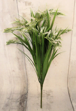 dracaena bush 21" Cream Wheat Dracaena Bush