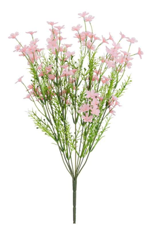 18" Pink Forget-Me-Not Bush