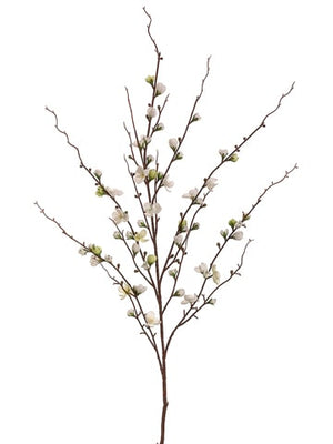 45" Cream Quince Blossom Spray
