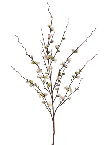 45" Cream Quince Blossom Spray