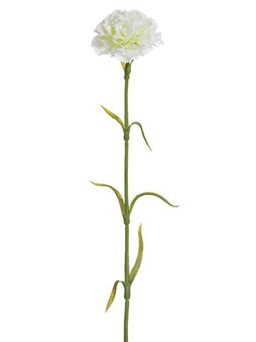 17" White Carnation Stem