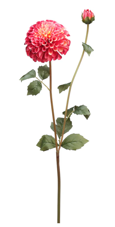31" Rose Two-Tone Dahlia Spray