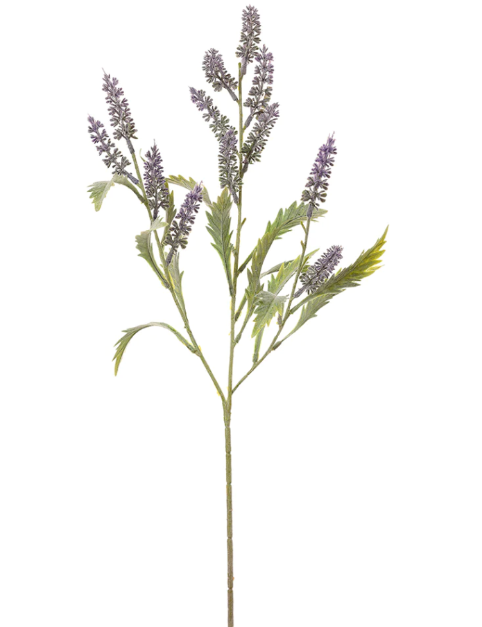 lavender spray for plants 26.5