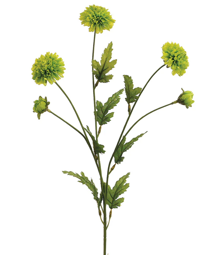 27" Green Pompom Mum Spray