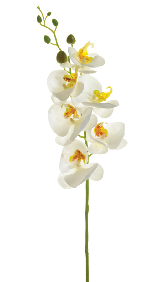 33" White Phalaenopsis Spray