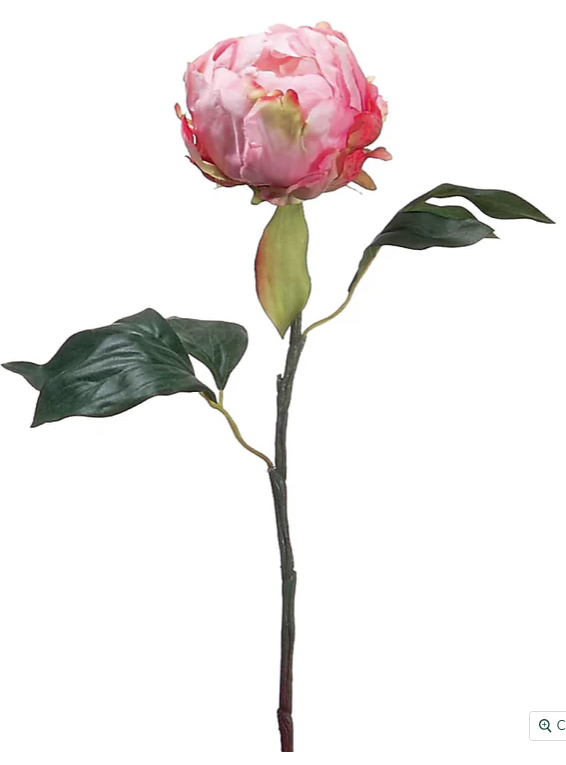 ✳︎peony✳︎ Paeonia 'Mons. Jules Elie' - Horsford Gardens and Nursery