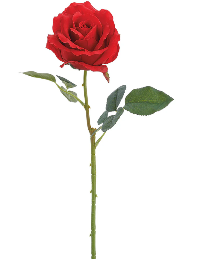 24.4" Red Single Rose Stem