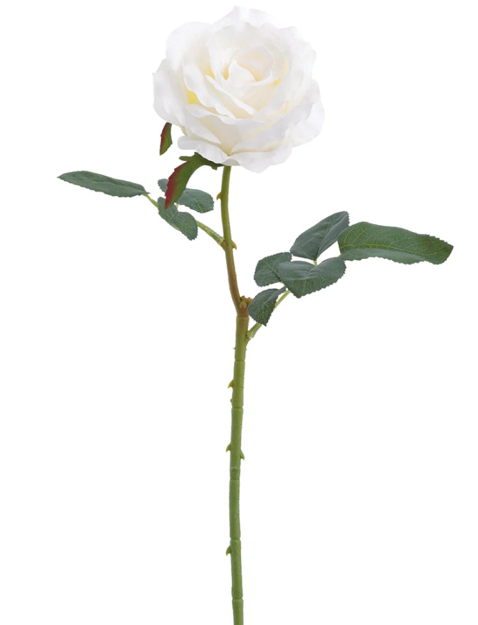 24.4" White Single Rose Stem