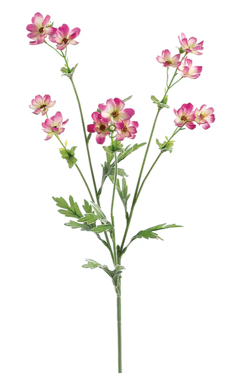 27.5" Fuchsia Baby Cosmos Spray