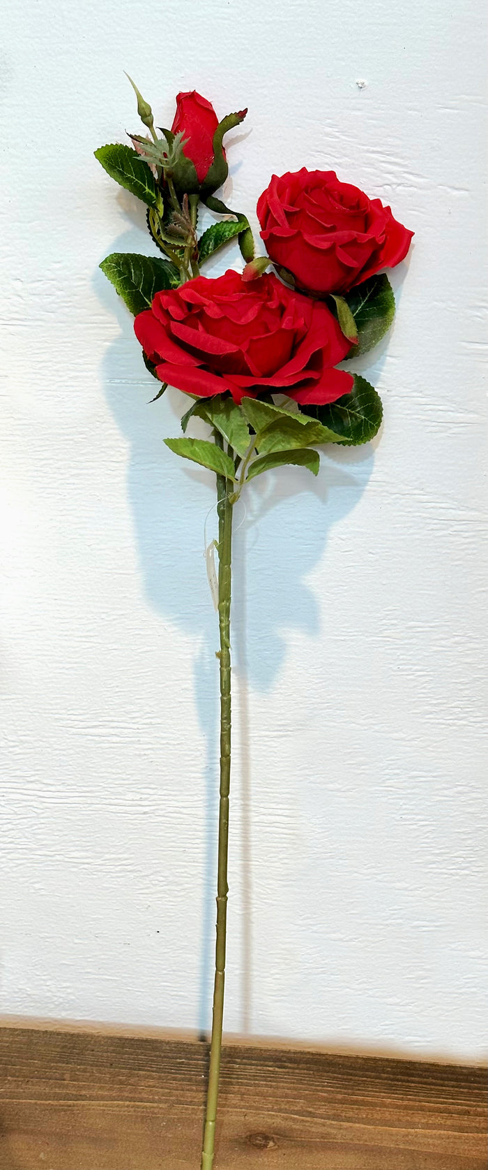 24" Classic Red Rose Stem