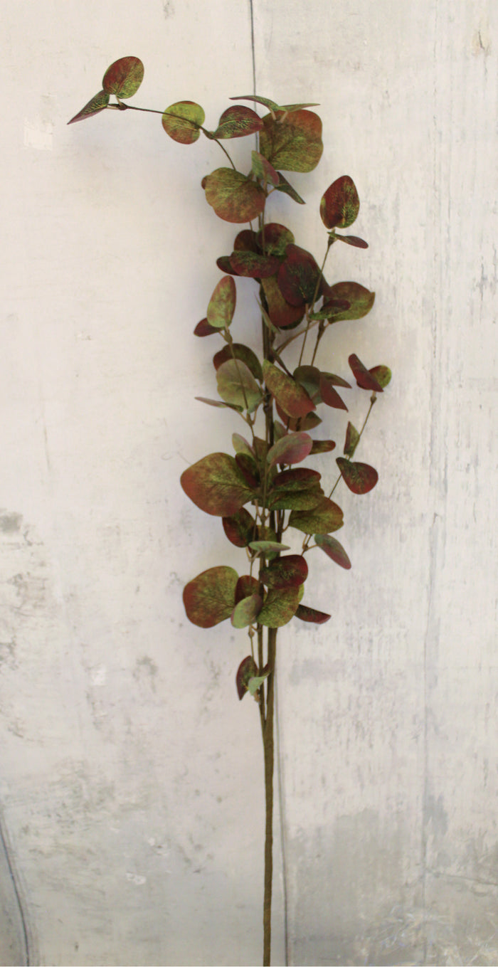 35" Brown & Green Fall Dollar Eucalyptus Stem