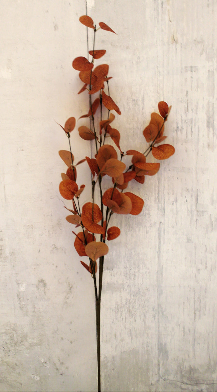 35" Fall Dollar Eucalyptus Stem