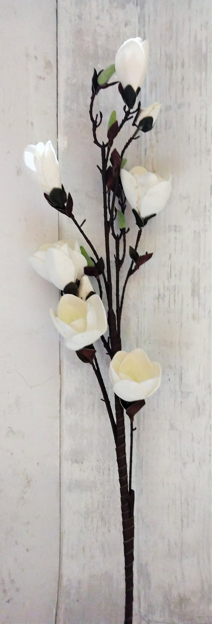 Foam Magnolia Stem