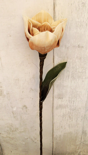 27" Cream Magnolia Stem
