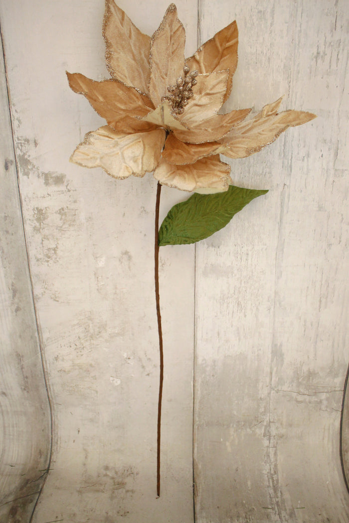 29" Champagne Velvet Poinsettia