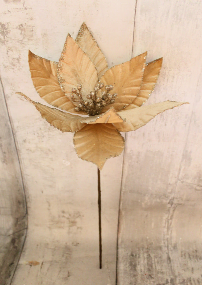 22.5" Champagne Velvet Poinsettia Stem