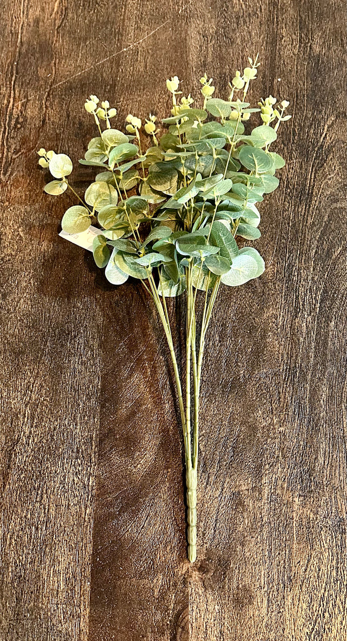 Spring Eucalyptus Bush Greenery