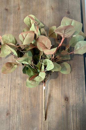 Earth Tones Leaves Greenery