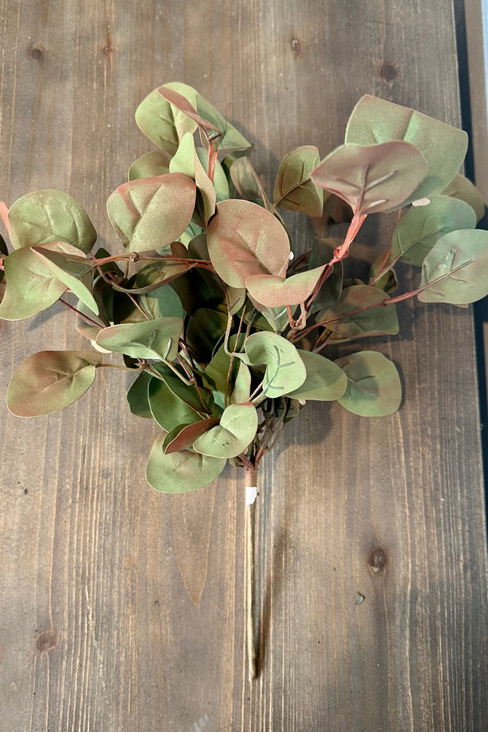 Earth Tones Leaves Greenery