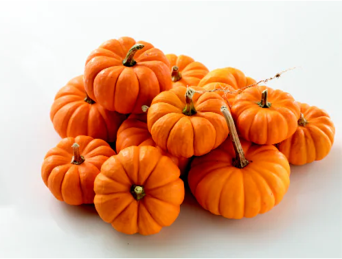 Mini Orange Pumpkins