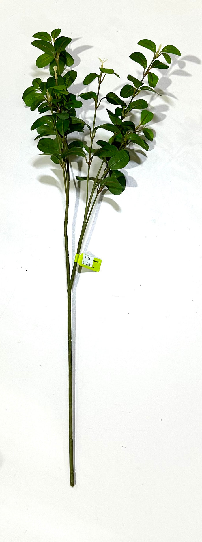 27" Green Syngonium Spray