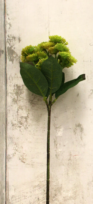 14" Green Sedum Floral Spray-Floral Stems-Ellis Home & Garden