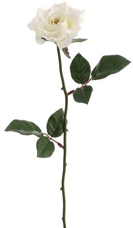 23" Cream Medium Rose Floral Stem