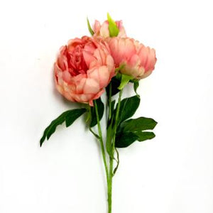 25" Peony Floral Stem-Floral Stems-Ellis Home & Garden