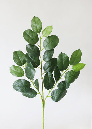 25.5" Lemon Leaf Greenery Spray-Greenery-Ellis Home & Garden