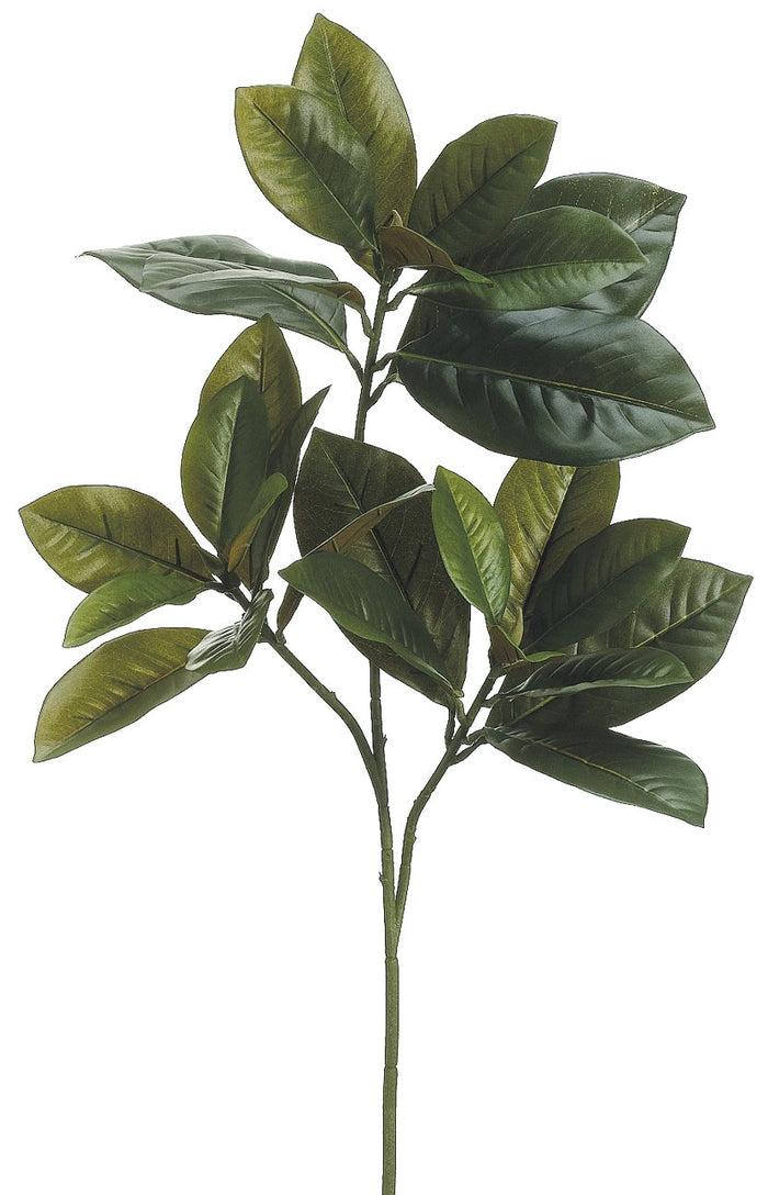 26" Magnolia Leaf Spray