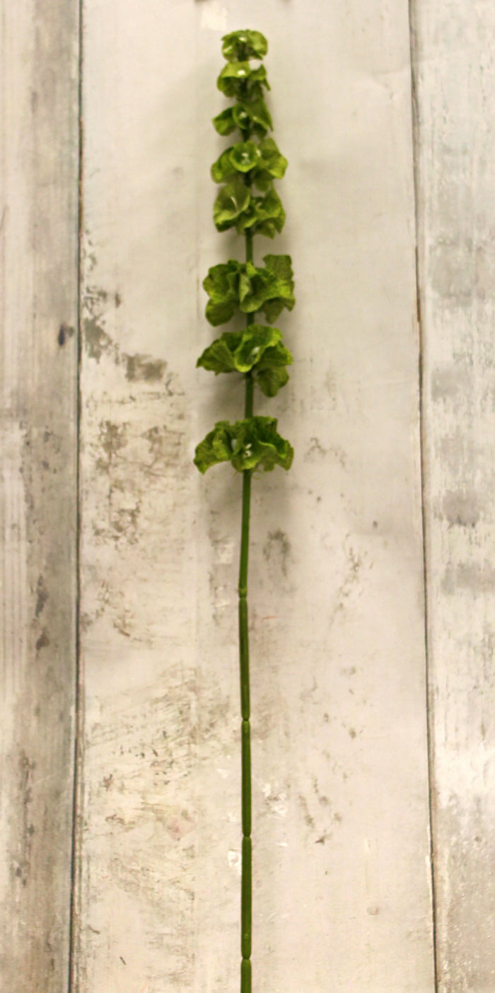 29" Green Bells of Ireland Floral Stem