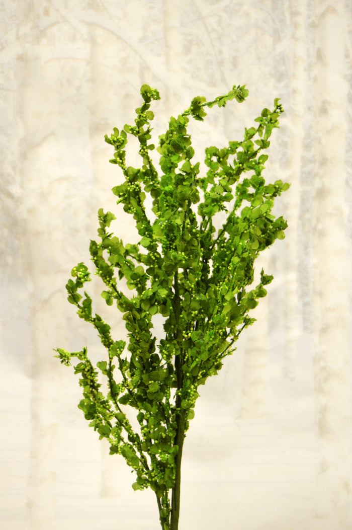 36" Green Berry Leaves Spray