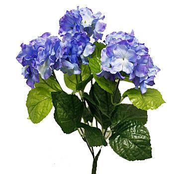 Blue Hydrangea Spring Floral Bush