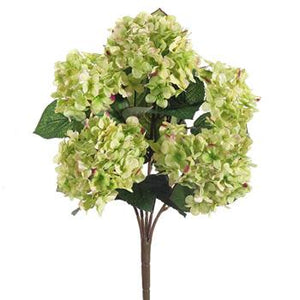 Cream & Green Hydrangea Spring Floral Bush-Spring Bushes-Ellis Home & Garden