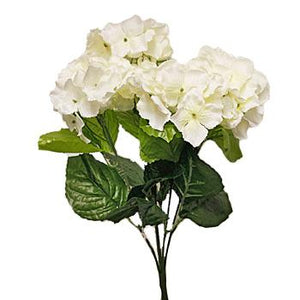 Cream Dogwood Spring Floral Bush
