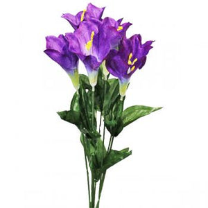 Purple Trumpet Lily Spring Floral Bush-Spring Bushes-Ellis Home & Garden